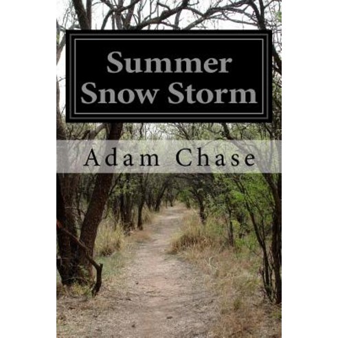 Summer Snow Storm Paperback, Createspace Independent Publishing Platform