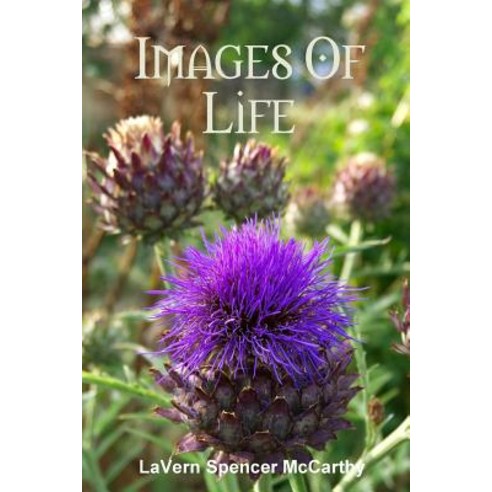 Images of Life Paperback, Lulu.com