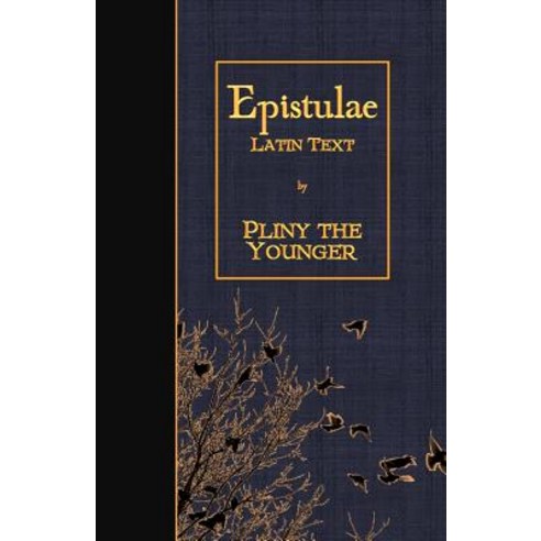 Epistulae: Latin Text Paperback, Createspace Independent Publishing Platform