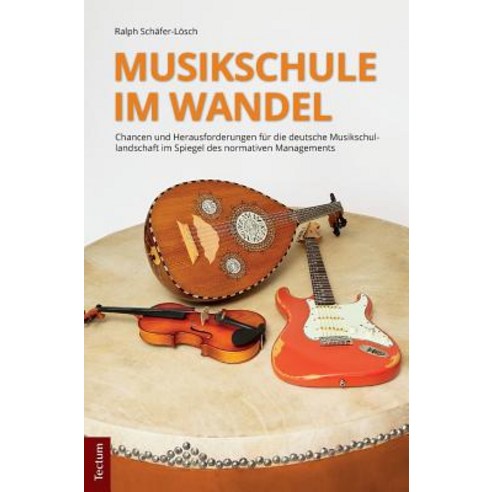 Musikschule Im Wandel: Chancen Und Herausforderungen Fur Die Deutsche Musikschullandschaft Im Spiegel ..., Tectum Verlag