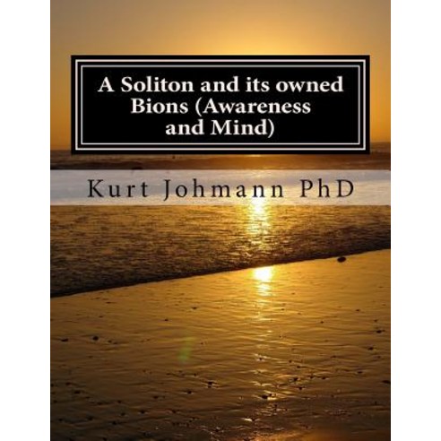 A Soliton and Its Owned Bions (Awareness and Mind): These Intelligent Particles Are How We Survive Dea..., Createspace Independent Publishing Platform