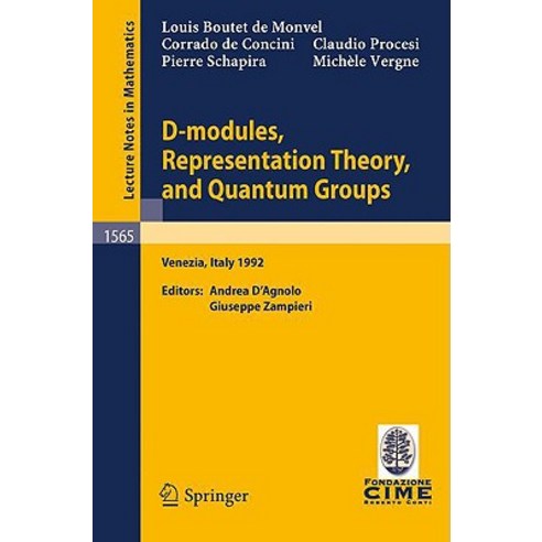 D-Modules Representation Theory and Quantum Groups: Lectures Given at the 2nd Session of the Centro ..., Springer