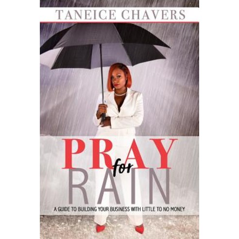 Pray for Rain: Guide to Building Your Business with Little to No Money Paperback, Taneice Chavers