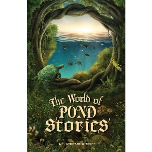 The World of Pond Stories Paperback, Abandoned Ladder