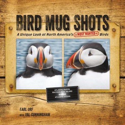 Bird Mug Shots: A Unique Look at North America''s Most Wanted Birds Paperback, Stone Ridge Press