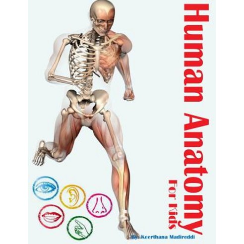 Human Anatomy for Kids Paperback, Createspace Independent Publishing Platform