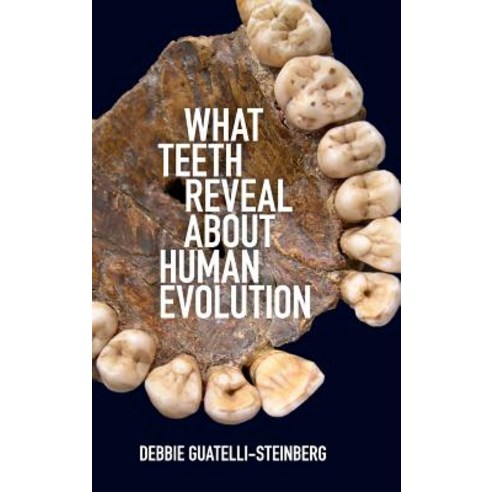 What Teeth Reveal about Human Evolution Hardcover, Cambridge University Press