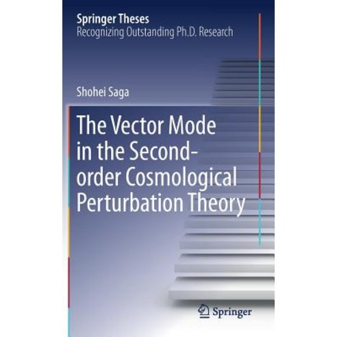 The Vector Mode in the Second-Order Cosmological Perturbation Theory Hardcover, Springer