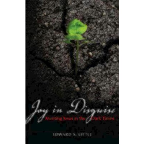 Joy in Disguise: Meeting Jesus in the Dark Times Paperback, Morehouse Publishing