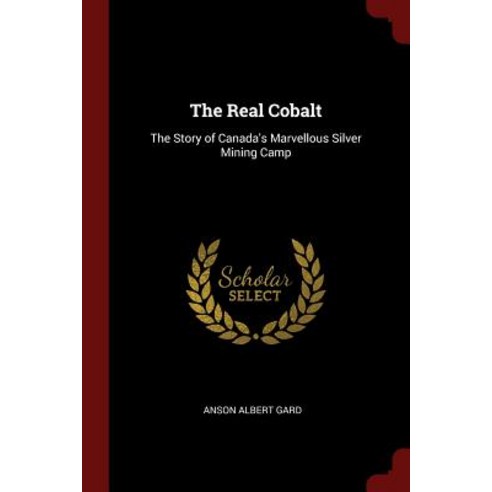 The Real Cobalt: The Story of Canada''s Marvellous Silver Mining Camp Paperback, Andesite Press