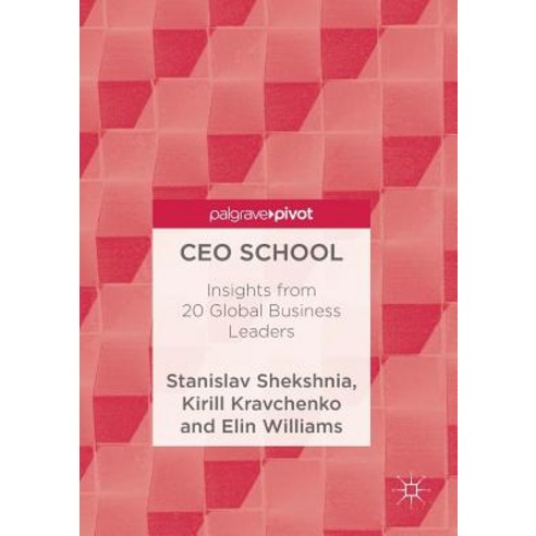 CEO School: Insights from 20 Global Business Leaders Paperback, Palgrave Pivot