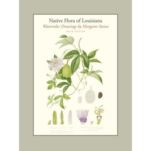 Native Flora of Louisiana: Folio Edition Hardcover, Louisiana State University Press