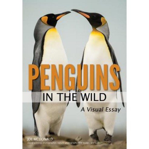 Penguins in the Wild Paperback, Amherst Media