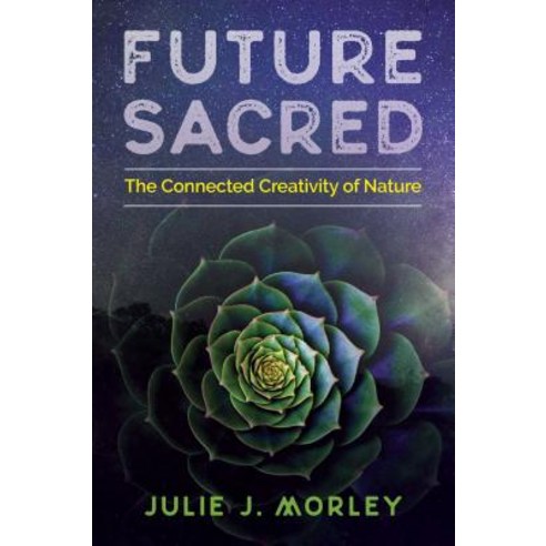 Future Sacred: The Connected Creativity of Nature Paperback, Park Street Press