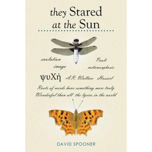 They Stared at the Sun Paperback, Xlibris