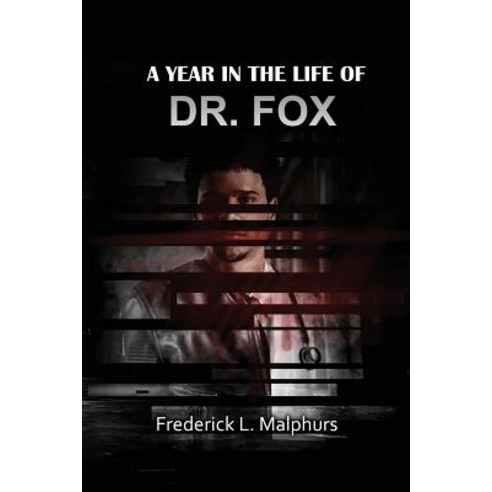 A Year in the Life of Dr. Fox Paperback, Pageturner, Press and Media