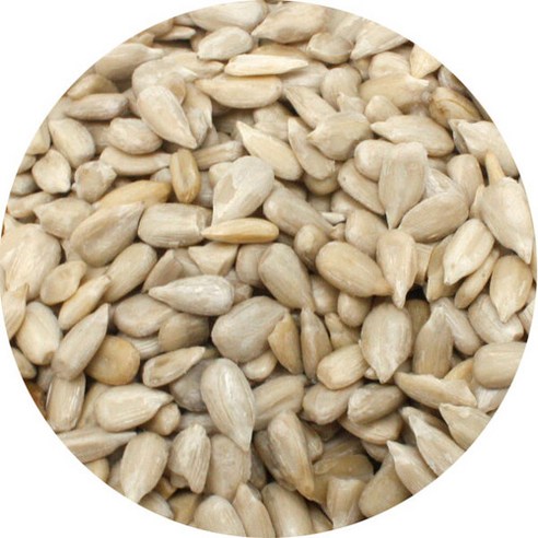 좋은세상 해바라기씨 10kg 벌크상품, 1박스