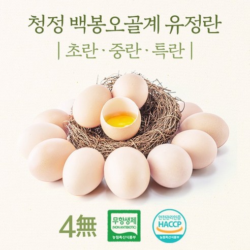 강원도 청정 백봉오골계 유정란 초란 (무항생제 HACCP 인증), 5개 청계초란