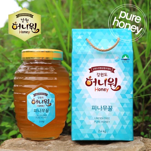 허니원 유리병 피나무꿀 2.4kg, 1박스 허니원 유리병 피나무꿀 2.4kg, 1박스