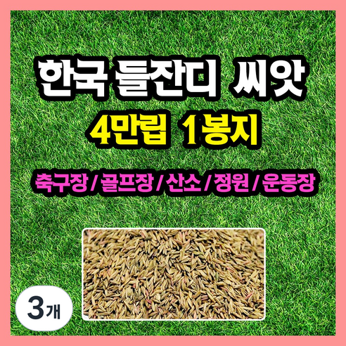 한국 들잔디 씨앗 대용량 4만립, 3개