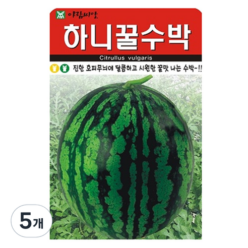 하니꿀수박 씨앗 20립, 5개