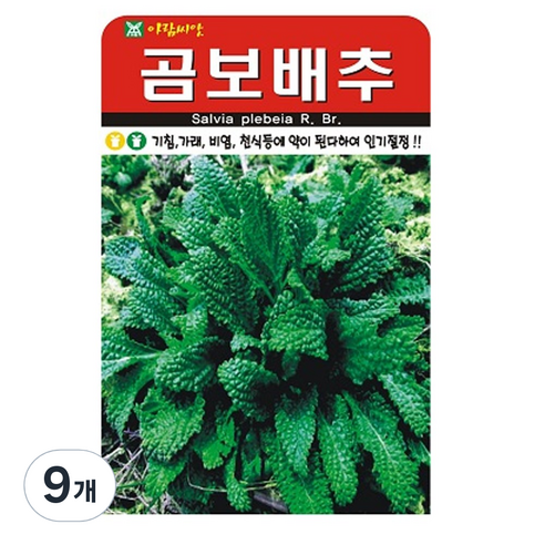 곰보배추 씨앗 배추 씨 종자, 9개
