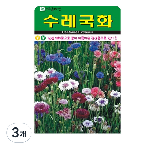 저스틴앤클로이 수레국화500립 야생화종자, 3개