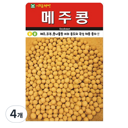 메주콩 씨앗 ( 합 ) 콩 씨 종자, 4개