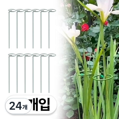2025 NEW 고리형 식물 화분 화초 난초 지지대 48cm, 24개