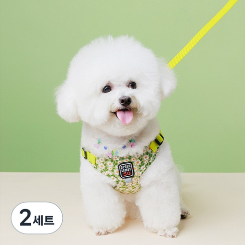 강아지 하네스 가슴줄 앞섬방지 리드줄 소형견, 옐로우, 2세트