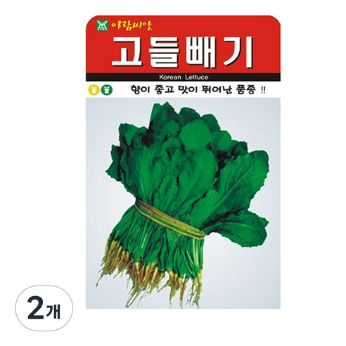 고들빼기 씨앗, 2개