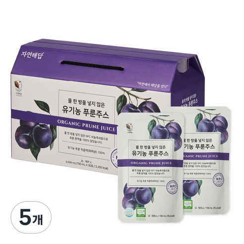 자연해답 유기농 푸룬 NFC 착즙액 주스 100%, 5개, 3L