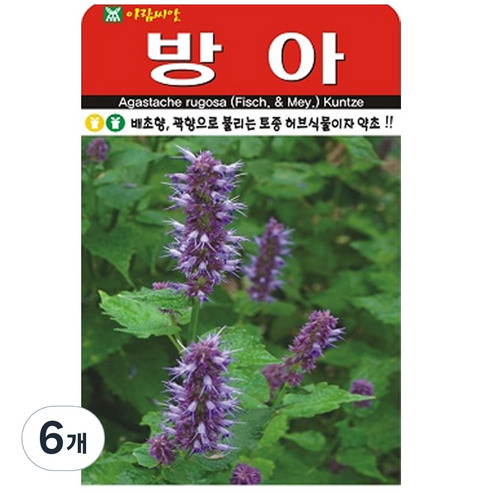방아 씨앗 약초 나물 씨 종자, 6개