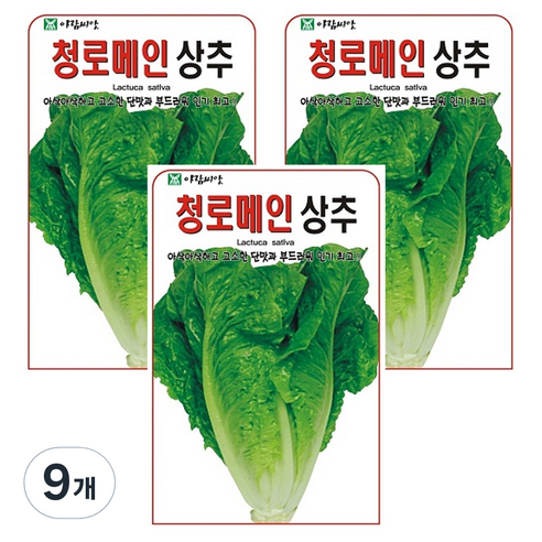 청 로메인 상추 씨앗 상추씨, 9개