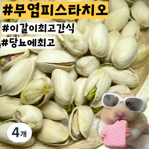[내일도착] 당뇨예방 무염 햄스터 기니피그 친칠라 이갈이 피스타치오 간식, 4개, 20g