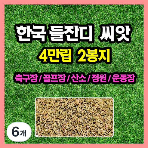 한국들잔디 씨앗 4만립 (중포장) 축구장 골프장 공원 산소 잔듸, 6개