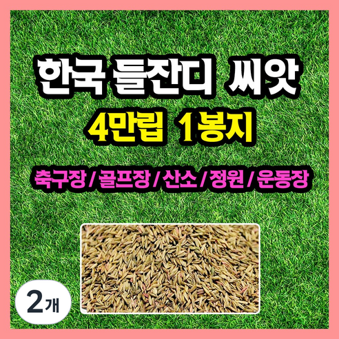 한국 들잔디 씨앗 대용량 4만립, 2개