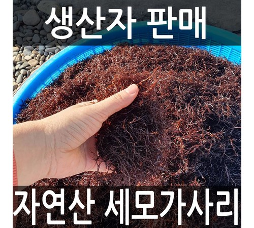 싱싱한 해산물