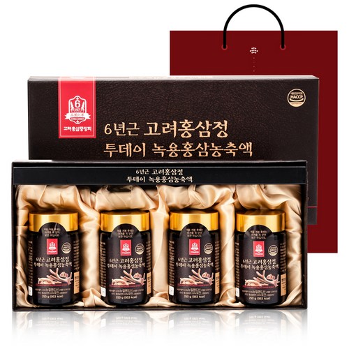 고려홍삼중앙회 6년근 고려홍삼정 투데이 녹용홍삼 농축액 + 쇼핑백, 1kg, 1세트