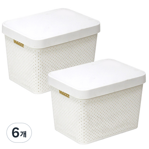 센스2030 커버 바스켓, 아이보리, 6개