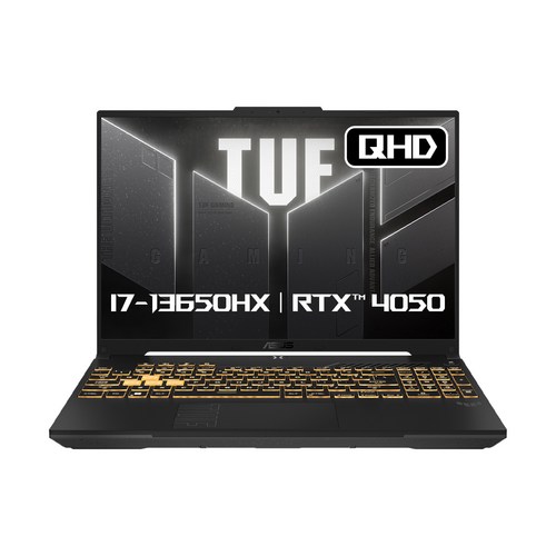 에이수스 2024 TUF 게이밍 F16 코어i7 인텔 13세대 지포스 RTX 4050, Mecha Gray, 512GB, 16GB, Free DOS, FX607JU-QT083