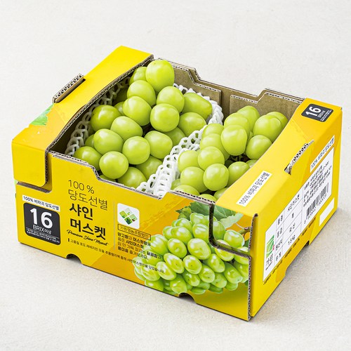 비파괴 당도선별 샤인머스캣, 1.5kg, 1팩