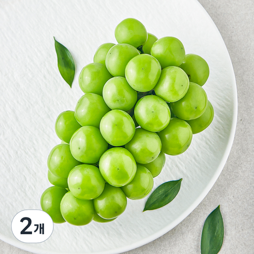 영길팜 당도선별 샤인머스캣, 500g, 2개