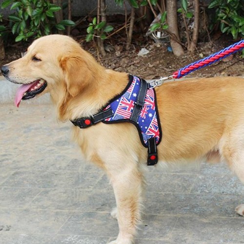 퍼플펫 강아지 대형견 중형견 L형 하네스 + 리드줄 세트 L, 유니언잭, 1세트