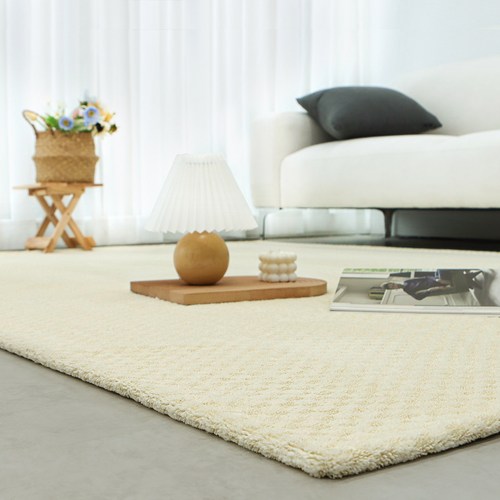 레시앙뜨 부띠끄 워셔블 러그 카페트