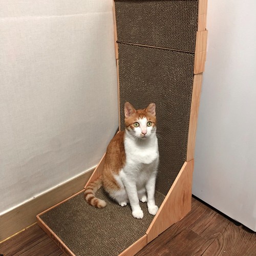 차즈마켓 고양이 수직 스크래쳐, 혼합색상, 1개