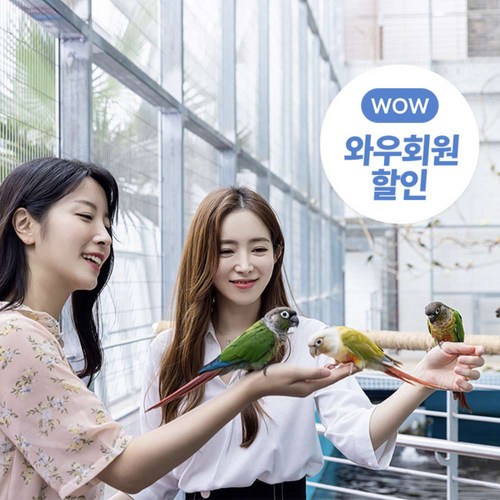 앵파크