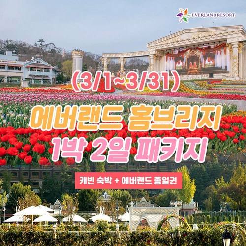 에버랜드자유이용권