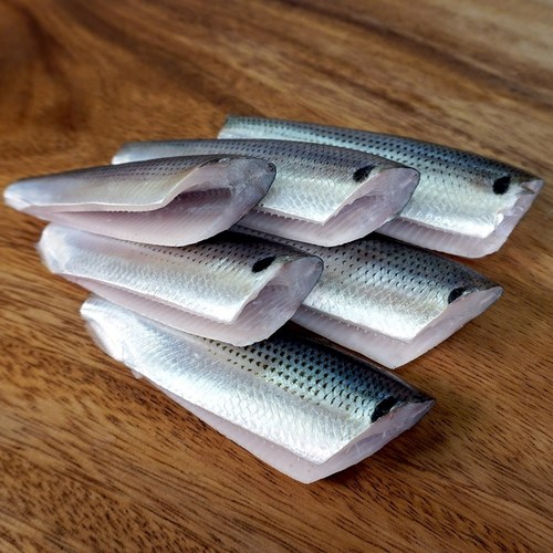 서해안 가을 전어회, 1개, 300g