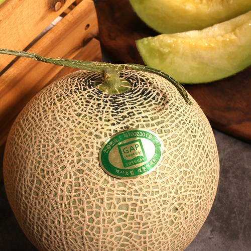 고당도 메론 머스크 멜론 세지메론 나주 세지멜론, 머스크메론 1수, 1개